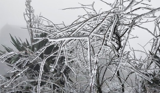 Diễn biến không khí lạnh tăng cường và dự báo thời tiết 10 ngày tới