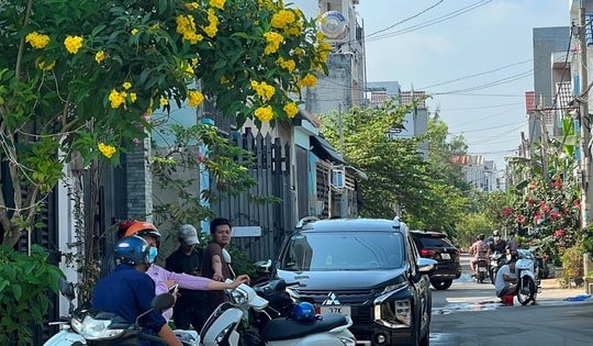 'Đất nền sẽ tăng giá mạnh sau Tết nguyên đán'