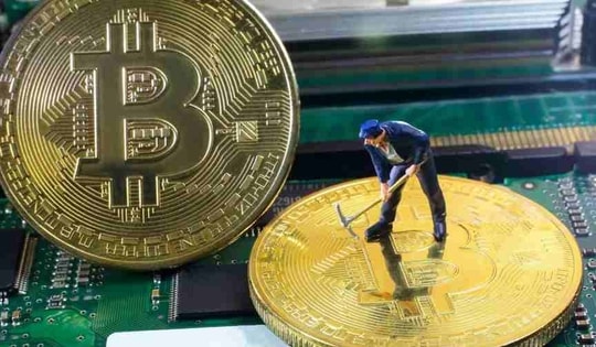 Khoảng 20% dân Việt Nam chơi tiền số trong khi chỉ có 9% đầu tư chứng khoán