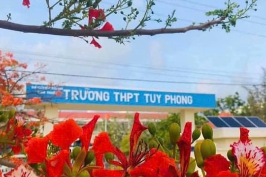 Yêu cầu tạm đình chỉ công tác thầy giáo bị tố làm nữ sinh mang thai