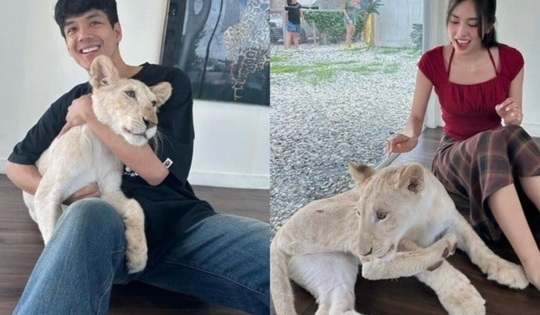 Hoa hậu Tiểu Vy hẹn hò diễn viên Thái Lan?