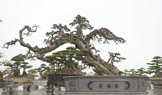 Ngắm loạt tác phẩm tiền tỷ được trưng bày ở đền Trần Nam Định trước ngày khai hội