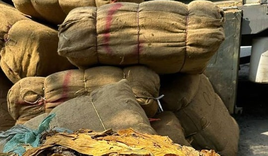 Bắt giữ gần 2 tấn nguyên liệu thuốc lá lậu trong vòng 10 phút