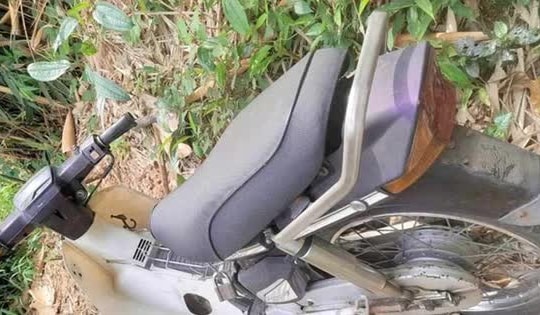 Phát hiện thi thể nam giới trong tư thế treo cổ, đang phân huỷ trong rừng