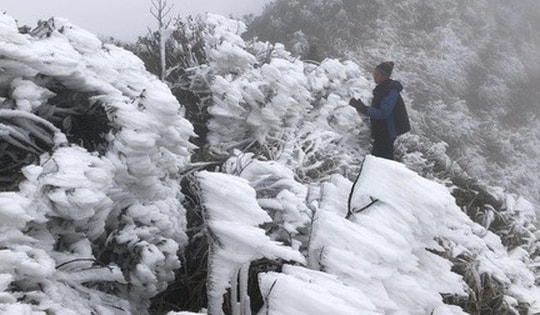 Dự báo thời tiết 10 ngày tới, khi nào thì hết rét đậm?