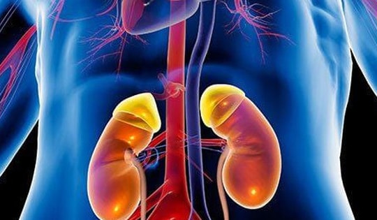 9 thói quen hàng ngày tàn phá thận khủng khiếp, người Việt nên biết để tránh