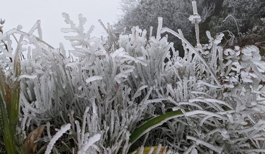 Tin sáng 9/2: Không khí lạnh gây rét đậm, rét hại, miền Bắc có nơi dưới 3 độ C; Giữ khẩn cấp tài xế lái xe khách làm 3 người chết ở Phú Yên