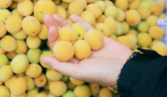 Một loại quả mang tên 'thần dược mùa xuân' giúp hỗ trợ ngăn ngừa ung thư đại tràng được bán đầy ở chợ Việt