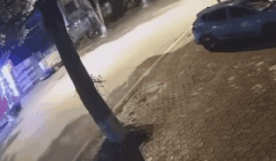 Xe máy phóng như bay, lao vào gốc cây khiến 3 người tử vong ở Lào Cai