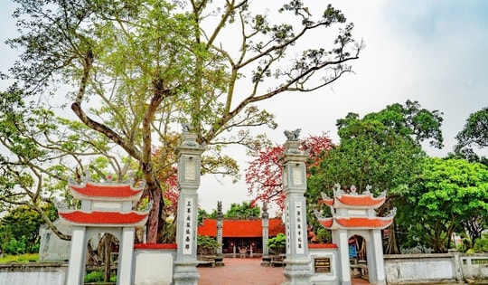 Hải Phòng: Lễ hội truyền thống Từ Lương Xâm chuẩn bị diễn ra với quy mô lớn nhất từ trước tới nay