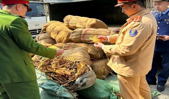 Phát hiện gần 3 tấn lá cây thuốc lá sấy khô không rõ nguồn gốc