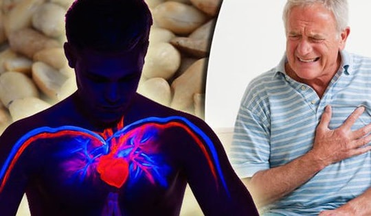 Loại hạt ngon bổ rẻ tốt cho tim mạch và nhiều lợi ích khác