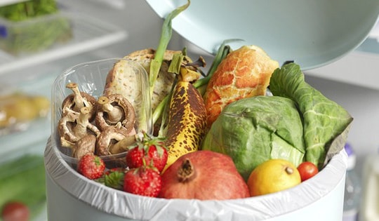 Cách nhận biết thực phẩm đã hỏng, đừng tiếc kẻo rước bệnh