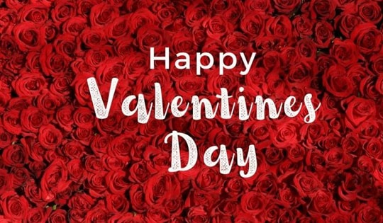 52+ câu chúc đầy lãng mạn, ý nghĩa dành cho người yêu nhân dịp Valentine