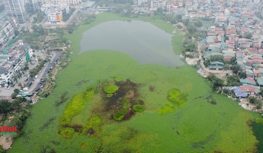 Hồ rộng hàng ngàn m2 ở Hà Nội có nguy cơ ‘biến mất’ vì bị san lấp, lấn chiếm trái phép