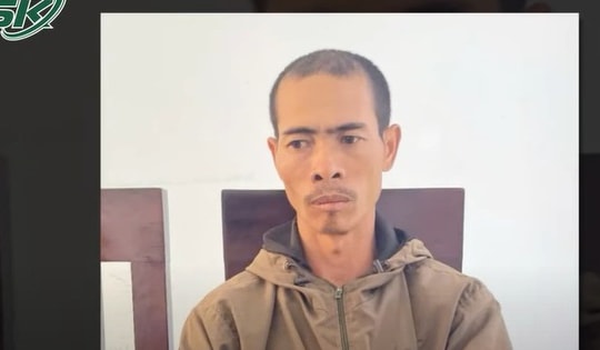 Đòi quan hệ tình cảm với em vợ bất thành, gã anh rể đốn mạt phá vườn cà phê để 'trả thù'