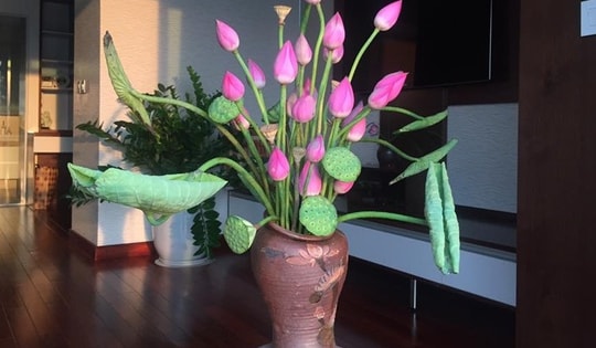 Bí quyết hút tài lộc và may mắn khi trồng hoa sen, người tuổi nào hợp phong thủy với hoa sen?