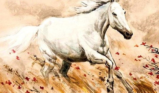 Cách sắp xếp không gian nhà ở mang tới may mắn cho người tuổi Ngọ