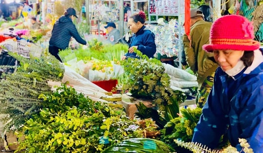 Thời tiết mưa nồm kéo dài, chị em thi nhau chia sẻ một loại lá giá rẻ giúp xua tan mùi ẩm mốc