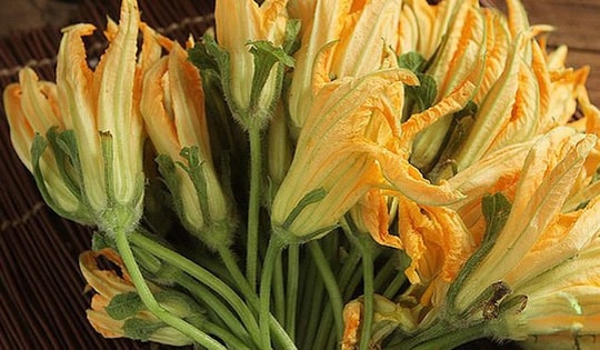 6 lợi ích bất ngờ từ hoa bí ngô