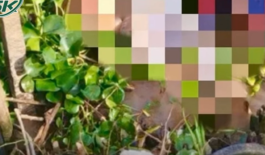 Án mạng kinh hoàng, người giao thịt heo bị sát hại dã man rồi dìm xuống sông ở An Giang