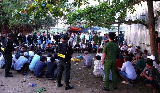 Triệt phá tụ điểm đá gà trên đê biển, bắt quả tang 75 đối tượng