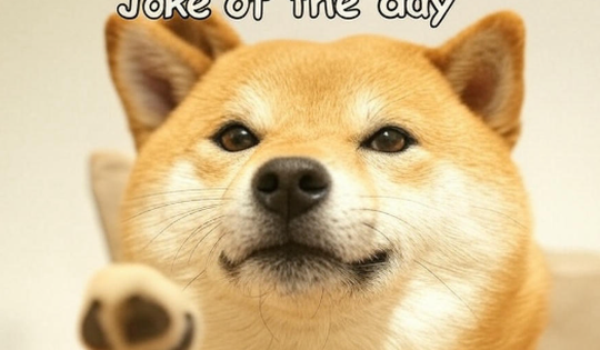 'Joke of the day’ là gì mà người người đua nhau bắt trend?