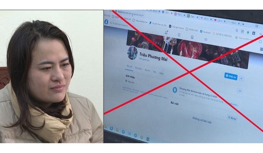 Ma trận lừa đảo trên mạng khiến người dân ngậm ‘trái đắng’
