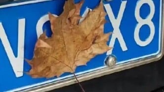 Nữ tài xế bị trừ hết 12 điểm đòi kiểm tra video phạt nguội, nào ngờ xem xong cảnh sát liền xin lỗi