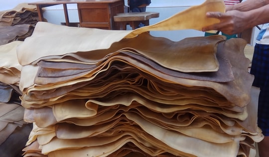 Loại nguyên liệu siêu quý này của Việt Nam được Malaysia ra sức chốt đơn hàng nghìn tấn: Xuất khẩu tăng đột biến 800%, diện tích trồng hơn 900.000 ha