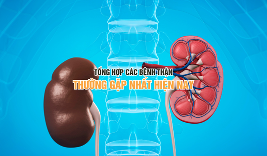 Tổng hợp những bệnh thận thường gặp hiện nay