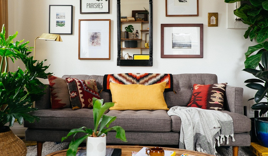 Cách chọn loại cây phù hợp với không gian phòng khách