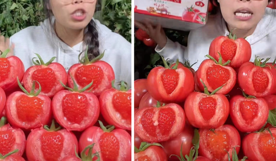 Xuất hiện loại cà chua có quả dâu tây trong ruột gây sốt, CĐM lắc đầu: 'Đúng là chuyện gì cũng có thể xảy ra'