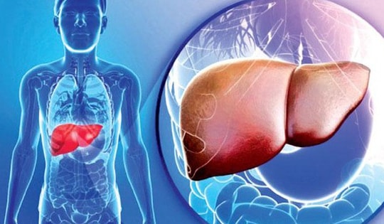 Không phải rượu bia, đây mới là thói quen âm thầm 'tàn phá' gan, tăng nguy cơ mắc bệnh gan đáng sợ nhất