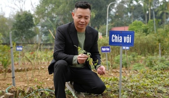 Sống vui khỏe nhờ thảo dược thiên nhiên