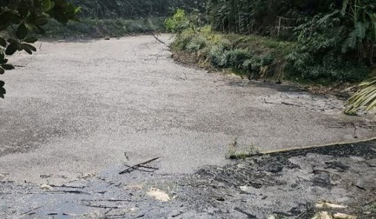 Xử phạt trang trại nuôi lợn không phép xả thải gây ô nhiễm môi trường