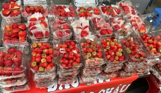 Dâu tây 'giá rẻ như cho' tràn ngập thị trường, bán tràn lan ở vỉa hè Hà Nội