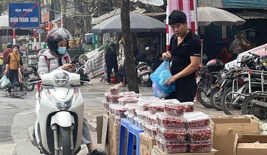 Dâu tây 'rẻ như bèo' tràn ngập Hà Nội