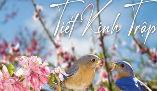 Các món ăn dưỡng sinh bổ dưỡng, nâng cao sức khỏe và làm đẹp da nên ăn vào tiết Kinh Trập