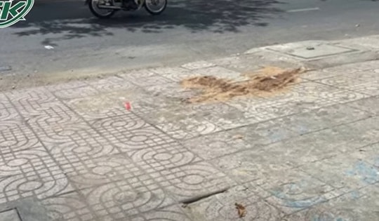 Rúng động gã đàn ông Hàn Quốc cầm đá đánh đồng hương đến tử vong sau cuộc nhậu ở TP HCM