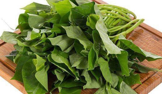 Phát hiện tuyệt vời: Ăn rau khoai lang giúp làm chậm sự phát triển của tế bào ung thư