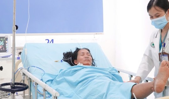 Ăn cá nóc suýt tử vong, bệnh nhân hồi sinh sau 6 giờ lọc máu hấp phụ