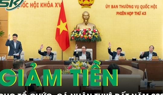 Thống nhất giảm 30% tiền thuê đất phải nộp năm 2024 cho tổ chức, hộ gia đình, cá nhân