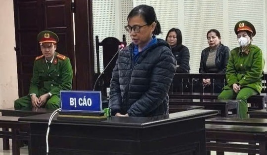 Lừa đảo hơn 12 tỉ đồng, người phụ nữ nhận án 29 năm tù