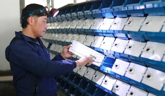 Nuôi cua biển kiểu độc lạ, một hợp tác xã ở Hà Tĩnh lãi bạc tỷ