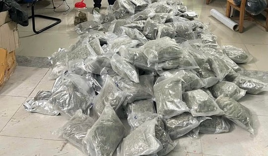 Triệt phá đường dây mua bán ma túy xuyên quốc gia, thu giữ hơn 153 kg cần sa