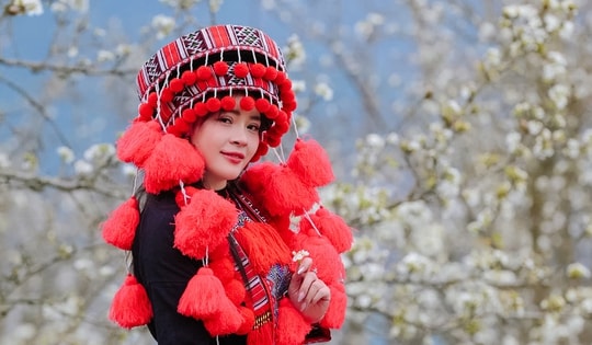 Hoa lê Hồng Thái đẹp ngỡ ngàng, dân mạng rần rần kéo nhau check-in