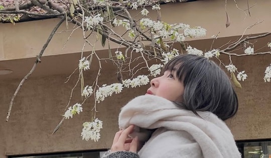 Hoa sưa “thức giấc”, người dân Hà Nội ồ ạt check-in