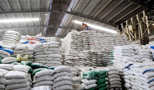 Giá gạo nội địa và xuất khẩu nhích dần