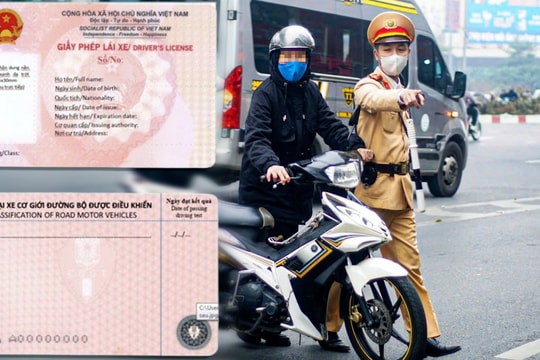 Chưa nộp phạt vi phạm giao thông, không được cấp đổi giấy phép lái xe